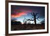 A Dead Tree in the Sunset in Richmond Park, London-Alex Saberi-Framed Photographic Print