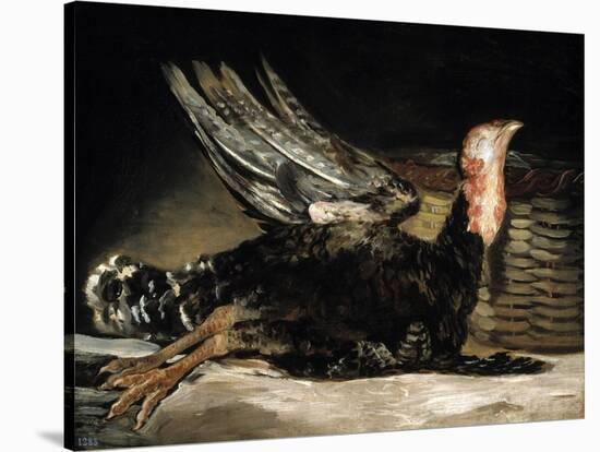 A Dead Turkey, 1808-1812-Francisco de Goya-Stretched Canvas