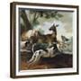 A Deer Chased by Dogs, 1725-Jean-Baptiste Oudry-Framed Giclee Print