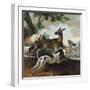 A Deer Chased by Dogs, 1725-Jean-Baptiste Oudry-Framed Giclee Print