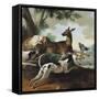 A Deer Chased by Dogs, 1725-Jean-Baptiste Oudry-Framed Stretched Canvas