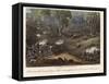 A Deer Hunt-null-Framed Stretched Canvas