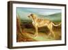 A Deerhound in a Landscape-Charles Hancock-Framed Giclee Print