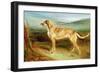 A Deerhound in a Landscape-Charles Hancock-Framed Giclee Print