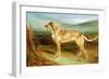 A Deerhound in a Landscape-Charles Hancock-Framed Giclee Print