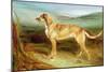 A Deerhound in a Landscape-Charles Hancock-Mounted Giclee Print