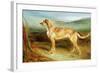 A Deerhound in a Landscape-Charles Hancock-Framed Giclee Print