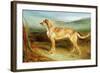 A Deerhound in a Landscape-Charles Hancock-Framed Giclee Print