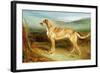 A Deerhound in a Landscape-Charles Hancock-Framed Giclee Print