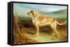 A Deerhound in a Landscape-Charles Hancock-Framed Stretched Canvas