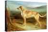 A Deerhound in a Landscape-Charles Hancock-Stretched Canvas