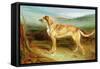 A Deerhound in a Landscape-Charles Hancock-Framed Stretched Canvas