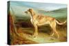 A Deerhound in a Landscape-Charles Hancock-Stretched Canvas