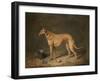 A Deerhound in a Stable Interior, 1817-Henry Thomas Alken-Framed Giclee Print