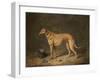 A Deerhound in a Stable Interior, 1817-Henry Thomas Alken-Framed Giclee Print