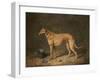 A Deerhound in a Stable Interior, 1817-Henry Thomas Alken-Framed Giclee Print