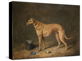 A Deerhound in a Stable Interior, 1817-Henry Thomas Alken-Stretched Canvas