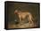 A Deerhound in a Stable Interior, 1817-Henry Thomas Alken-Framed Stretched Canvas