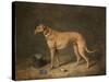 A Deerhound in a Stable Interior, 1817-Henry Thomas Alken-Stretched Canvas