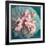 A Delicate Floral Montage from Blooming Orchids and Rose-Alaya Gadeh-Framed Photographic Print