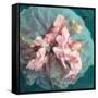 A Delicate Floral Montage from Blooming Orchids and Rose-Alaya Gadeh-Framed Stretched Canvas