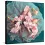 A Delicate Floral Montage from Blooming Orchids and Rose-Alaya Gadeh-Stretched Canvas