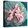 A Delicate Floral Montage from Blooming Orchids and Rose-Alaya Gadeh-Stretched Canvas