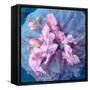 A Delicate Floral Montage from Blooming Orchids and Rose-Alaya Gadeh-Framed Stretched Canvas