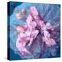 A Delicate Floral Montage from Blooming Orchids and Rose-Alaya Gadeh-Stretched Canvas