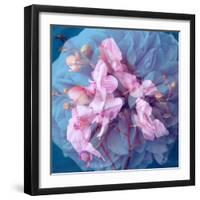 A Delicate Floral Montage from Blooming Orchids and Rose-Alaya Gadeh-Framed Photographic Print