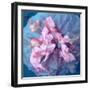 A Delicate Floral Montage from Blooming Orchids and Rose-Alaya Gadeh-Framed Photographic Print