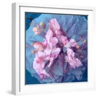 A Delicate Floral Montage from Blooming Orchids and Rose-Alaya Gadeh-Framed Photographic Print