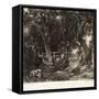 A Dell, Helmingham Park, Suffolk-John Constable-Framed Stretched Canvas