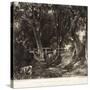 A Dell, Helmingham Park, Suffolk-John Constable-Stretched Canvas