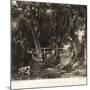 A Dell, Helmingham Park, Suffolk-John Constable-Mounted Giclee Print