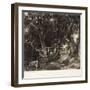 A Dell, Helmingham Park, Suffolk-John Constable-Framed Giclee Print