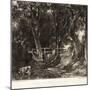 A Dell, Helmingham Park, Suffolk-John Constable-Mounted Giclee Print