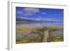 A delta on Middle Alkali Lake east of Cedarville, California.-Richard Wright-Framed Photographic Print