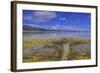 A delta on Middle Alkali Lake east of Cedarville, California.-Richard Wright-Framed Photographic Print