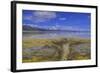 A delta on Middle Alkali Lake east of Cedarville, California.-Richard Wright-Framed Photographic Print