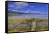 A delta on Middle Alkali Lake east of Cedarville, California.-Richard Wright-Framed Stretched Canvas