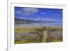 A delta on Middle Alkali Lake east of Cedarville, California.-Richard Wright-Framed Photographic Print