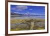 A delta on Middle Alkali Lake east of Cedarville, California.-Richard Wright-Framed Photographic Print