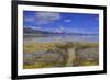 A delta on Middle Alkali Lake east of Cedarville, California.-Richard Wright-Framed Photographic Print