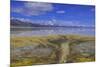 A delta on Middle Alkali Lake east of Cedarville, California.-Richard Wright-Mounted Photographic Print