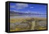 A delta on Middle Alkali Lake east of Cedarville, California.-Richard Wright-Framed Stretched Canvas