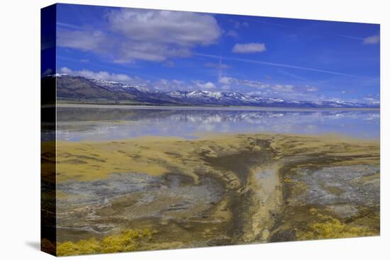 A delta on Middle Alkali Lake east of Cedarville, California.-Richard Wright-Stretched Canvas