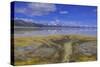 A delta on Middle Alkali Lake east of Cedarville, California.-Richard Wright-Stretched Canvas
