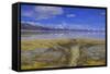 A delta on Middle Alkali Lake east of Cedarville, California.-Richard Wright-Framed Stretched Canvas