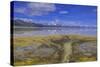 A delta on Middle Alkali Lake east of Cedarville, California.-Richard Wright-Stretched Canvas